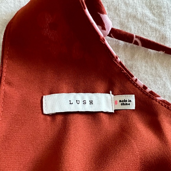 Lush Dress - Picture 4 of 4